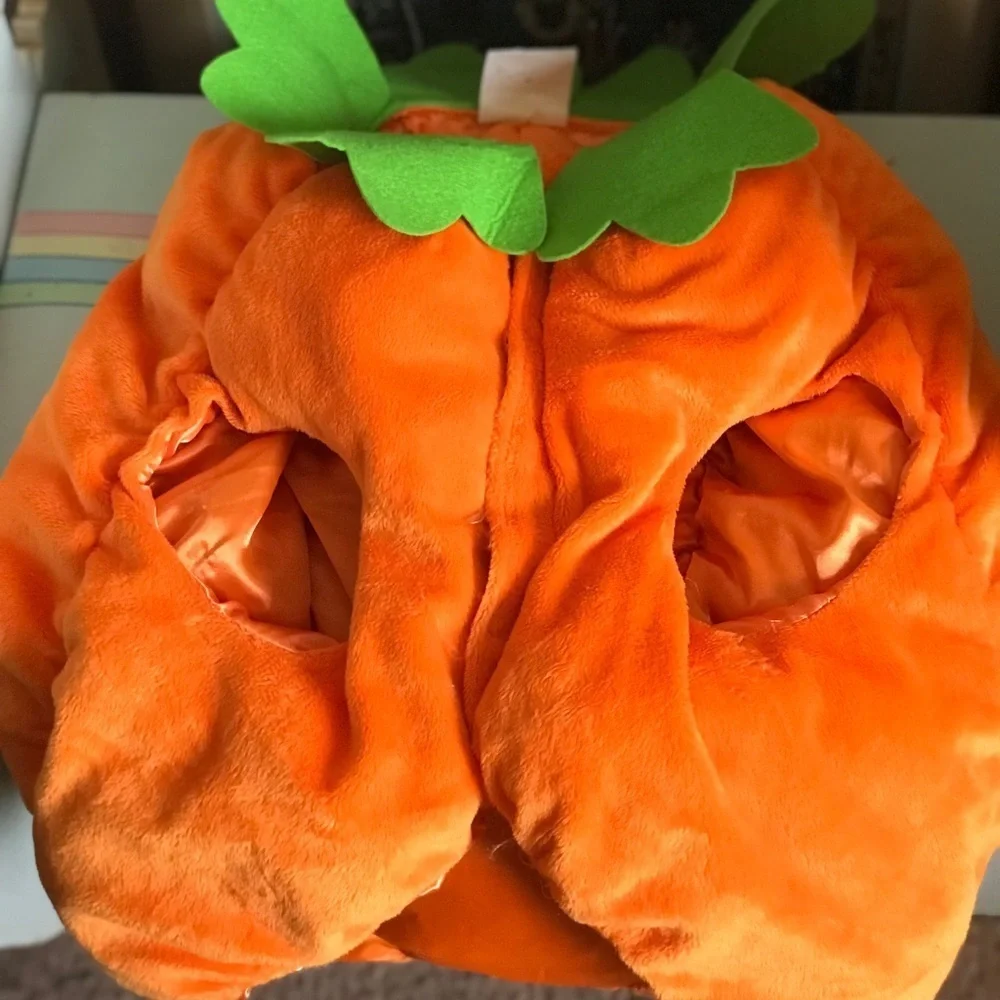 Halloween 🎃 Pumpkin Large Pet Costume